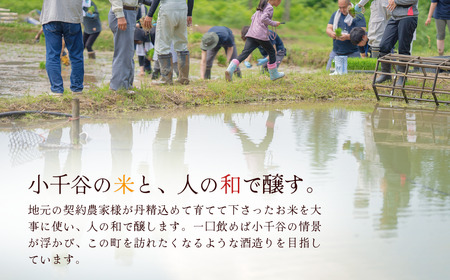 日本酒 蔵あわせ飲み比べセット(純米吟醸 田友・越の寒中梅 金ラベル) 計2本(720ml×各1本) 高の井酒造・新潟銘醸 【0002-0054-01】