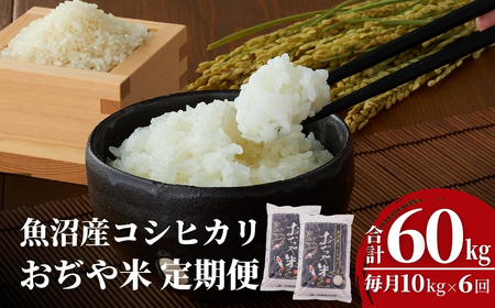 【毎月定期便 おぢや米 5kg2袋×6回】魚沼産コシヒカリ 魚沼特A地域