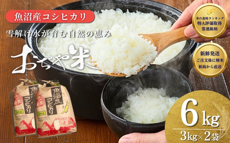 【令和7年産】新潟産コシヒカリ「おぢや米」 6kg（3kg×2）