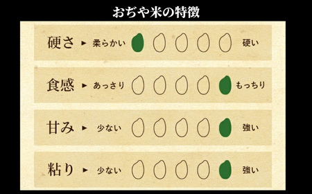 【令和7年産】新潟産コシヒカリ「おぢや米」 6kg（3kg×2）