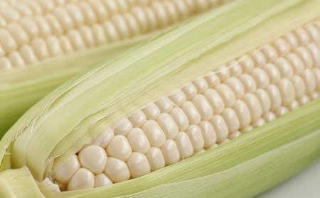 北海道産 ピュアホワイトスープ 6個セット 濃縮タイプ 200g（2～3人前）南幌町 保存食 備蓄 防災 災害対策 レトルト NP1-216