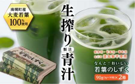 北海道南幌産青汁 なんと！おいしい若葉のしずく 2箱入り NP1-225