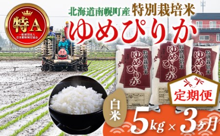 定期便》特別栽培米 ゆめぴりか（白米）5kg×3ヵ月 令和5年産 今摺り米