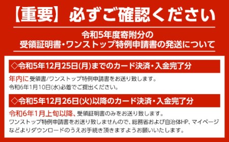 札幌麺匠 北海道小麦100%使用 北海道海鮮ラーメン 3種×2セット（6食入り）  ラーメン 拉麺 麺 麺類 麺類 加工品 食品 北海道 南幌町 NP1-128