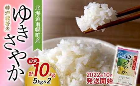 特別栽培米 ゆきさやか 白米10kg(5kg×2) 2022年10月発送開始 北海道南幌町産 NP1-151