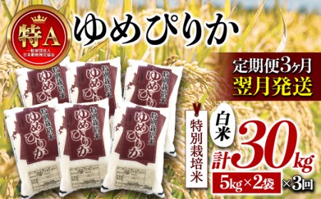 《定期便3カ月》北海道産 特別栽培米 ゆめぴりか 白米 10kg 翌月発送開始 南幌町 特A NP1-159