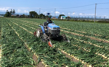 北海道産 南幌町産 たまねぎ 「山本農園のたまねぎ」L大サイズ前後 5kg 送料無料 玉ねぎ タマネギ 玉葱  野菜 食品 北海道 南幌町 NP1-161