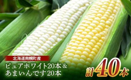 《2023年先行予約》北海道産 とうもろこし 食べ比べ ピュアホワイト20本&あまいんです20本 朝採り 生食 産地直送 数量限定 期間限定 NP1-168