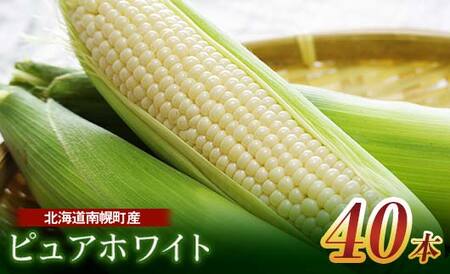 《2023年先行予約》北海道産 とうもろこし ピュアホワイト 40本 朝採り 生食 産地直送 数量限定 期間限定 NP1-169