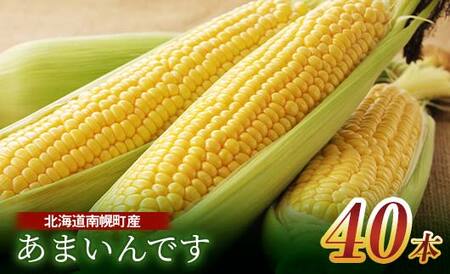 《2023年先行予約》北海道産 とうもろこし あまいんです 40本 朝採り 生食 産地直送 数量限定 期間限定 NP1-170