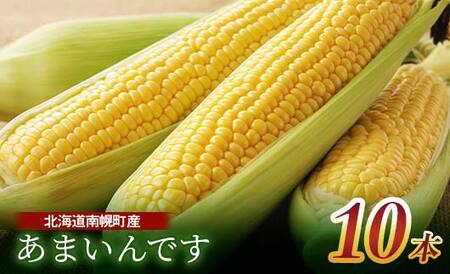 《先行受付》令和7年発送 北海道産 とうもろこし あまいんです10本  朝採れ 一番果 産地直送 数量限定 期間限定  とうきび トウキビ トウモロコシ コーン 野菜 食品 北海道 南幌町 NP1-176