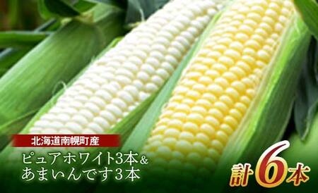 《先行受付》令和7年発送 北海道産 とうもろこし 食べ比べ ピュアホワイト3本＆あまいんです3本 朝採れ 一番果 産地直送 数量限定 期間限定  とうきび トウキビ トウモロコシ コーン 野菜 食品 北海道 南幌町 NP1-177