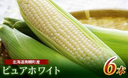 令和6年発送 北海道産 とうもろこし ピュアホワイト6本 朝採れ 一番果 産地直送 数量限定 期間限定  とうきび トウキビ トウモロコシ コーン 野菜 食品 北海道 南幌町 NP1-178