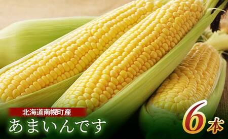 《先行受付》令和7年発送 北海道産 とうもろこし あまいんです6本 朝採れ 一番果 産地直送 数量限定 期間限定  とうきび トウキビ トウモロコシ コーン 野菜 食品 北海道 南幌町 NP1-179