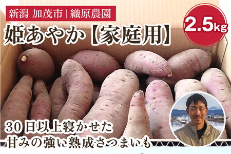 【2024年先行予約】新潟県 加茂市産 姫あやか 【家庭用】 2.5kg 《11月上旬以降発送》 人気 さつまいも 訳あり 家庭用 さつまいも 熟成 さつまいも しっとり甘みの強い さつまいも 焼き芋 焼芋 スイートポテト 加茂市 織原農園 