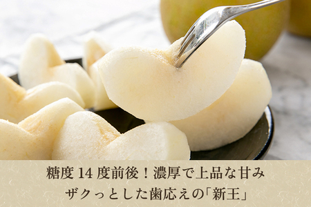 【2025年先行予約】「天果糖逸（てんかとういつ）」 新潟県産和梨 新王 約5kg（8～10玉）《9月中旬～配送予定》 しんおう 果物 フルーツ 冬の味覚 産地直送 加茂市 えちご中越農業協同組合 梨 梨 梨 梨 梨
