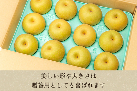 【2024年先行予約】「天果糖逸（てんかとういつ）」 新潟県産和梨 新王 約5kg（8～10玉）《9月中旬?配送予定》 しんおう 果物 フルーツ 冬の味覚 産地直送 加茂市 えちご中越農業協同組合