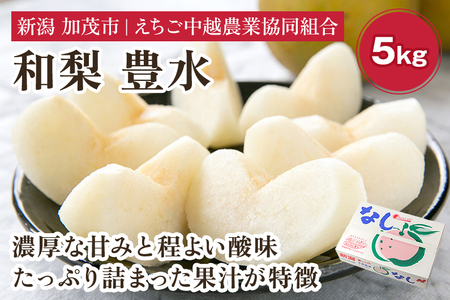 【2026年先行予約】「天果糖逸（てんかとういつ）」 新潟県産和梨 豊水 約5kg（9～14玉）《9月上旬から配送予定》 ほうすい 加茂市 えちご中越農業協同組合