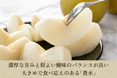 【2026年先行予約】「天果糖逸（てんかとういつ）」 新潟県産和梨 豊水 約5kg（9～14玉）《9月上旬から配送予定》 ほうすい 加茂市 えちご中越農業協同組合