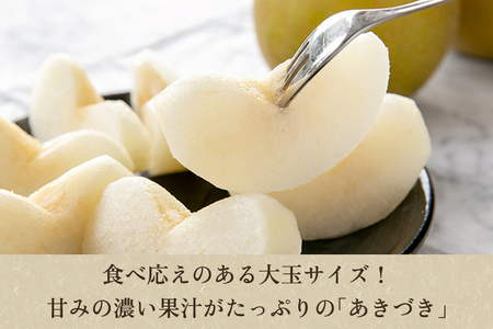 【2026年先行予約】「天果糖逸(てんかとういつ)」 新潟県産和梨 あきづき 約5kg(8~10玉)《9月下旬~配送予定》 加茂市 えちご中越農業協同組合