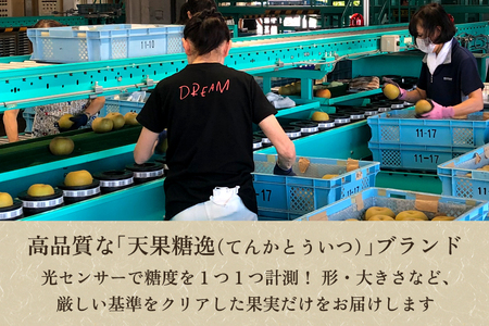 【2026年先行予約】「天果糖逸（てんかとういつ）」 新潟県産和梨 新美月 約5kg（9～12玉）《9月中旬～配送予定》 しんみづき 加茂市 えちご中越農業協同組合