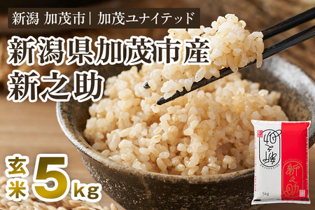 新潟県産 新之助 玄米5kg 《5kg×1袋》 新潟 ブランド米 加茂市 加茂ユナイテッド 新之助 新之助 新之助 新之助 新之助