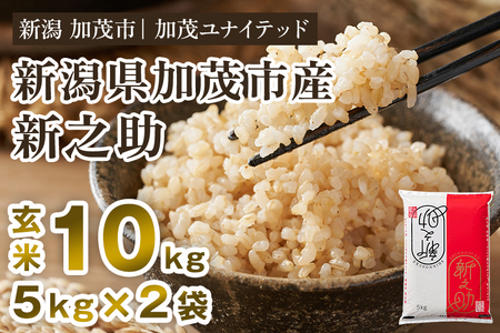 新潟県産 新之助 玄米10kg 《5kg×2袋》 新潟 ブランド米 加茂市 加茂ユナイテッド 新之助 新之助 新之助 新之助 新之助