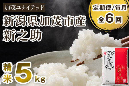 【定期便6ヶ月毎月お届け】新潟県産 新之助 精米5kg 《5kg×1袋》 新潟 ブランド米 米 白米 しんのすけ 加茂 新之助 精米 5kg 加茂の新之助 おいしい新之助 定期便  加茂市 加茂ユナイテッド 新之助 新之助 新之助 新之助 新之助