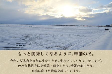 【令和7年産新米】【定期便9ヶ月毎月お届け】新潟県産 新之助 精米10kg 《5kg×2袋》