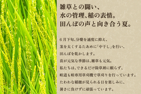 【令和5年産米】新潟県産 新之助 精米 4kg（2kg×2袋） 東京・南青山の料亭で使用される極上米 米 白米 しんのすけ 加茂 新之助 精米4kg 米 白米 しんのすけ 加茂 新之助 精米 4kg 加茂市 加茂ユナイテッド
