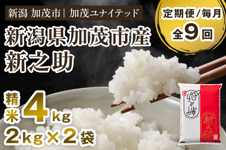 【定期便9ヶ月毎月お届け】新潟県産 新之助 精米4kg 《2kg×2袋》 新潟 ブランド米 米 白米 しんのすけ 加茂 新之助 精米 4kg 加茂の新之助 おいしい新之助 定期便  加茂市 加茂ユナイテッド