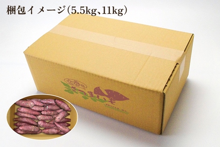 【2024年先行予約】【新潟県加茂市七谷産】紅あずま 5.5kg（M?LLサイズ）さつまいも《11月中旬～順次発送》人気品種 ほくほく食感と濃厚な甘み 低温熟成  スイートポテトや天ぷら、焼き芋に 加茂市 YAGOROU ヤゴロウ さつまいも さつまいも さつまいも さつまいも