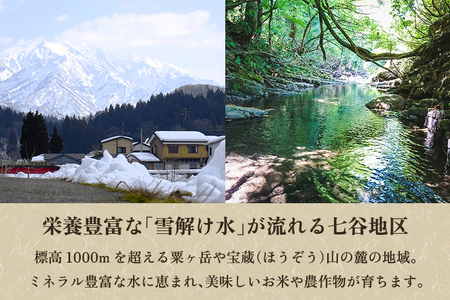 【2024年先行予約】【新潟県加茂市七谷産】6種食べ比べセット5kg（M~LLサイズ）さつまいも《11月下旬～順次発送》人気品種 食べ比べ 濃厚な甘み 低温熟成  蒸し芋や焼き芋、スイートポテトなどのスイーツに 加茂市 YAGOROU ヤゴロウ さつまいも さつまいも さつまいも さつまいも