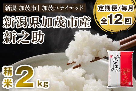 【定期便12ヶ月毎月お届け】新潟県産 新之助 精米2kg 《2kg×1袋》 新潟 ブランド米 米 白米 しんのすけ 加茂 新之助 精米 2kg 加茂の新之助 おいしい新之助 定期便  加茂市 加茂ユナイテッド