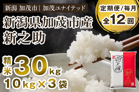 【定期便12ヶ月毎月お届け】新潟県産 新之助 精米30kg 《10kg×3袋》 新潟 ブランド米 米 白米 しんのすけ 加茂 新之助 精米 30kg 加茂の新之助 おいしい新之助 定期便  加茂市 加茂ユナイテッド