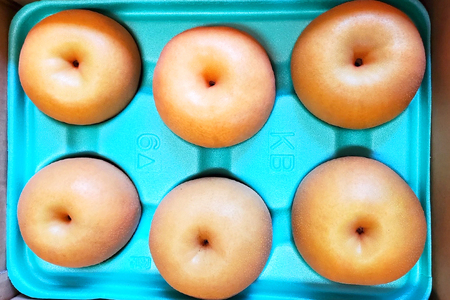 【2025年先行予約】西村の黒酢ミネラル栽培 和梨 「新高（小玉）」 3kg（7～10玉）《10月上旬～順次発送》にいたか 梨 和梨 玄米黒酢やヨーグルトを散布して育てた梨 果物 フルーツ ギフト 加茂市 西村果樹ガーデン