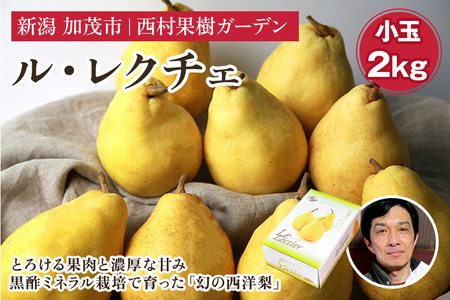 【2025年先行予約】西村の黒酢ミネラル栽培「ル・レクチェ」(小玉) 2kg(8~9玉)《11月下旬~順次発送》 幻の西洋梨 梨 洋梨 果実 フルーツ 冬の味覚 加茂市 西村果樹ガーデン