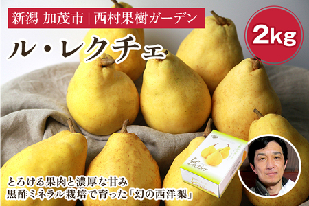 【2025年先行予約】西村の黒酢ミネラル栽培「ル・レクチェ」2kg （3～7玉）《11月下旬～順次発送》 幻の西洋梨 梨 洋梨 果実 フルーツ 冬の味覚 加茂市 西村果樹ガーデン