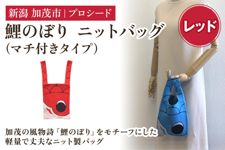 鯉のぼり ニットバッグ（マチ付きタイプ）【レッド】《タテ42×ヨコ20×マチ7（cm） ※持ち手込み》