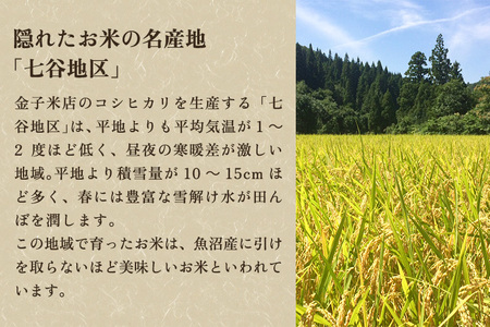 【令和6年産新米】老舗米穀店が厳選 新潟産 従来品種コシヒカリ「七谷米」無洗米15kg（5kg×3）窒素ガス充填パックで鮮度長持ち 金子米店 新潟県産コシヒカリ 米 お米