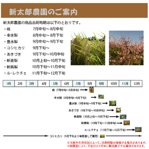 和梨 あきづき 3kg（5～7玉） 《9月下旬から順次発送》 果物 フルーツ 梨 和梨 デザート 加茂市  新太郎農園 梨 梨 梨 梨 梨