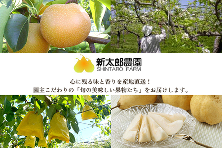 和梨 新高 3kg（4?6玉） 《10月中旬から順次発送》 果物 フルーツ 梨 和梨 デザート 加茂市  新太郎農園 梨 梨 梨 梨 梨