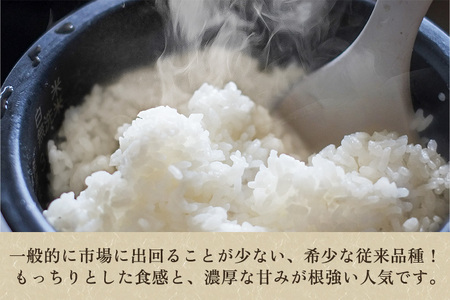 【令和6年産新米】【定期便3回毎月お届け】老舗米穀店が厳選 新潟産 従来品種コシヒカリ「七谷米」無洗米15kg（5kg×3）窒素ガス充填パックで鮮度長持ち 金子米店