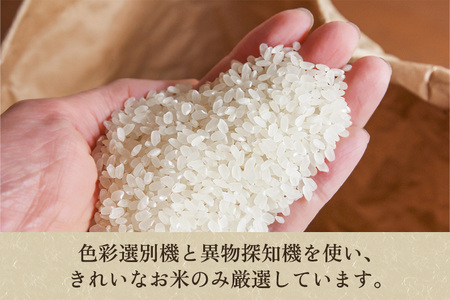 【令和6年産新米】【定期便5ヶ月毎月お届け】老舗米穀店が厳選 新潟産 従来品種コシヒカリ「七谷米」無洗米15kg（5kg×3）窒素ガス充填パックで鮮度長持ち 金子米店