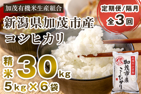 【令和7年産新米先行予約】【定期便3回隔月お届け】新潟県加茂市産コシヒカリ 精米30kg（5kg×6）《10月中旬から順次出荷》白米