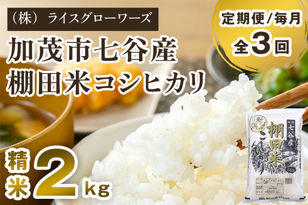【令和7年産】【定期便3回毎月お届け】七谷産 棚田米コシヒカリ 精米2kg《順次出荷》 白米（株）ライスグローワーズ