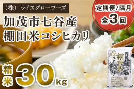 【令和7年産】【定期便3回隔月お届け】七谷産 棚田米コシヒカリ 精米30kg（5kg×6）《順次出荷》 白米 （株）ライスグローワーズ