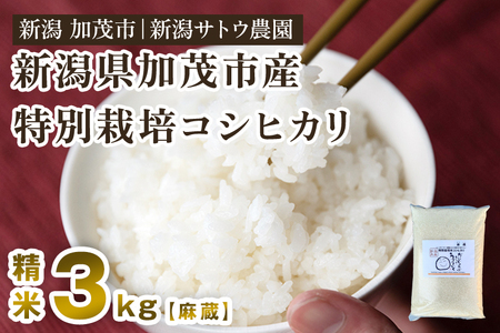 【令和6年産新米先行予約】化学肥料不使用の従来コシヒカリ【麻蔵3kg】特別栽培 有機肥料で育った厳選米 加茂市 新潟サトウ農園