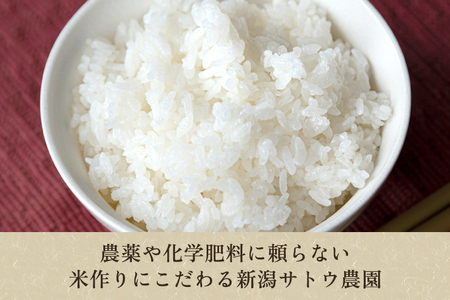 【令和6年産新米先行予約】化学肥料不使用の従来コシヒカリ【麻蔵3kg】特別栽培 有機肥料で育った厳選米 加茂市 新潟サトウ農園