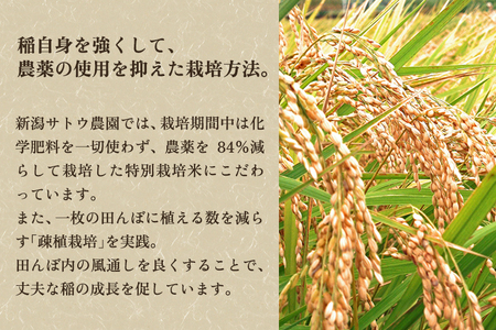 【令和6年産新米先行予約】化学肥料不使用の従来コシヒカリ【麻蔵3kg】特別栽培 有機肥料で育った厳選米 加茂市 新潟サトウ農園